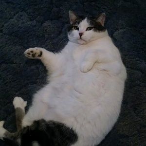 Meet your Posher, Tifini